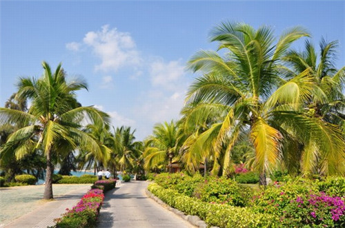 吉先生韩式炸鸡