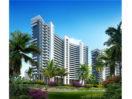 菜小姐的煎饼店