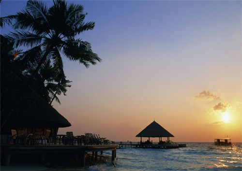 萌鸡特工石锅泡泡鸡