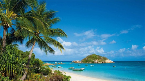 壹茶品壹加盟费多少