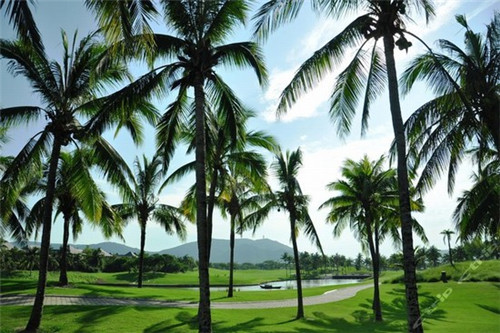 怎么小游戏广告（小游戏看广告怎么缩短）