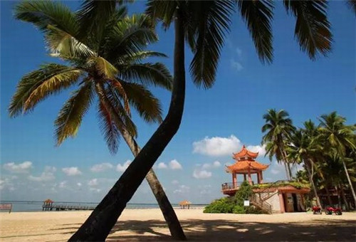 嘿水饮料图片（嘿饮加盟）